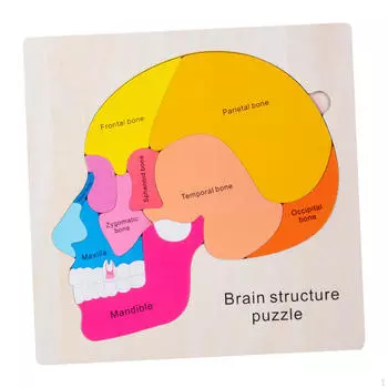Деревянная головоломка «Человеческий мозг», пазл для развития органов тела, обучающая игрушка для раннего обучения