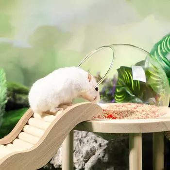 Деревянная игрушка для лазания хомяка, лестница, жевательная лестница, декор для клетки-мостика для песчанок,