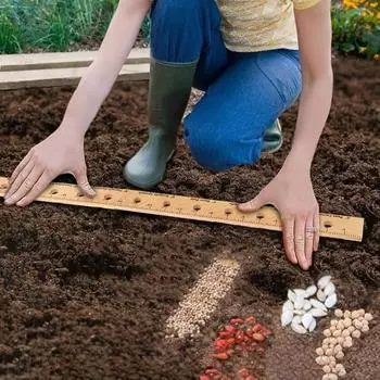 Деревянная линейка для растений Складная линейка для посадки растений с отверстиями Гладкая кромка без заусенцев Простая в использовании Легкая портативная садовая линейка