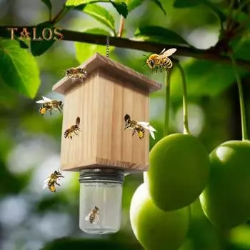 Деревянная ловушка для пчел, кубическая форма, не требующая особого ухода ловушка для насекомых с бутылкой, легкое размещение, подвесной ловец для пчел, для борьбы с вредителями снаружи светло-коричневого