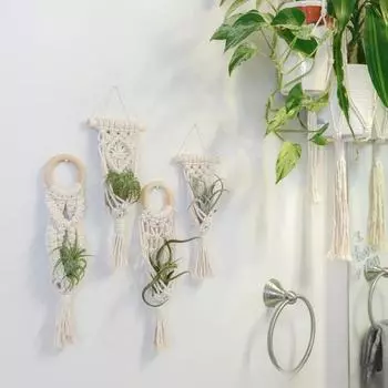 Деревянное кольцо Зеленая Луо Сухоцветная открытка Подвесная веревка Карманная основа Декоративный гобелен Спальня Фон Стена Декоративные опоры
