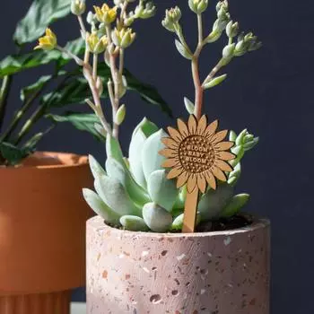 Деревянные маркеры для растений Подставки для растений Этикетки с именами Теги для садовых растений Палочки Вставка для весенних растений Знак для сочной зелени Растения в горшках D