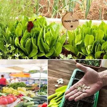 Деревянные таблички для растений, садовые этикетки с маркером, в комплект входят колья из нержавеющей стали, деревенские бирки с названиями растений для овощей, трав, цветов Sets