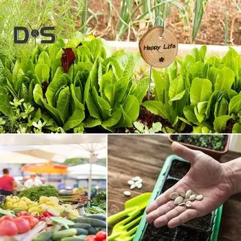 Деревянные таблички для растений, садовые этикетки с маркером, в комплект входят колья из нержавеющей стали, деревенские бирки с названиями растений для овощей, трав, цветов Sets