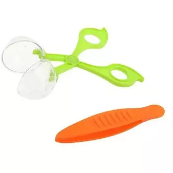 Деревянные зажимы-бусины, игры Монтессори, одинаковые цвета, обучающий набор для обучения прекрасным движениям, развивающие игрушки для детей