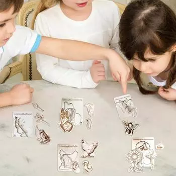 Деревянный пазл «Жизненный цикл», многослойный пазл «Животные, насекомые, рост растений», пазл для дошкольников, развивающие игрушки для детей, мальчиков и девочек Frog