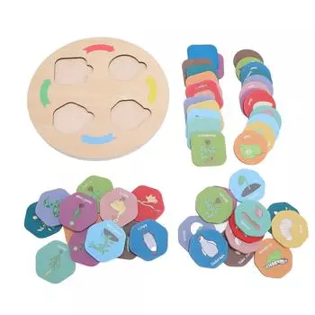 Деревянный поднос для игрушек «Жизненный цикл» для малышей. Образовательная деятельность по изучению науки. Сортировка. Сопоставление. Ани.