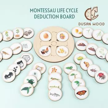«Деревянный поднос жизненного цикла Монтессори»: Головоломка «Изменение животных и растений» Life cycle simulation board