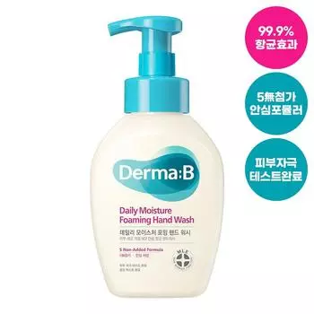 Derma B Ежедневная увлажняющая пенка для мытья рук, 500 мл