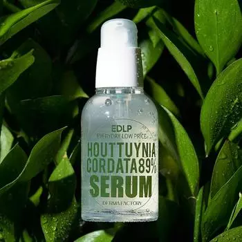Dermafactory Houttuynia Cordata 89% Serum 50ml 1 PCS