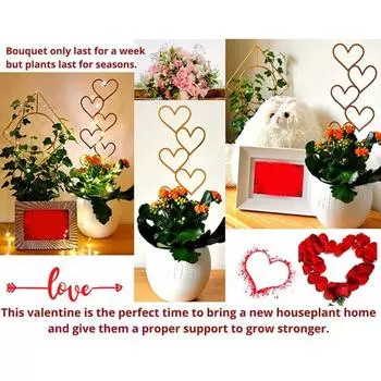 Держатель для восхождения растений, высокая прочность, нержавеющая металлическая подставка для цветов, подставка для восхождения, шпалеры для горшечных растений для дома Heart