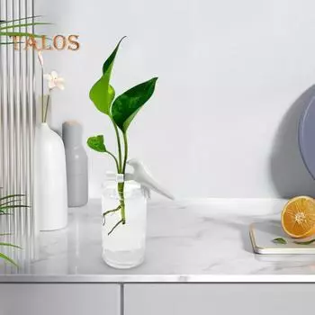 Держатель стебля растения в форме птицы Станция для размножения растений Гидропонный держатель растений Друг по размножению растений для черенков цветов Стебли и ростки 2pcs белый