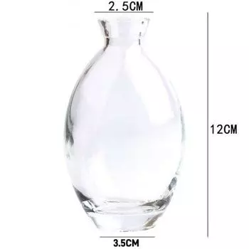 Desktop Mini Flower Vase Transparent Flower Arrangement Pot Creative Hydroponic Plant Bottle Home transparent-C