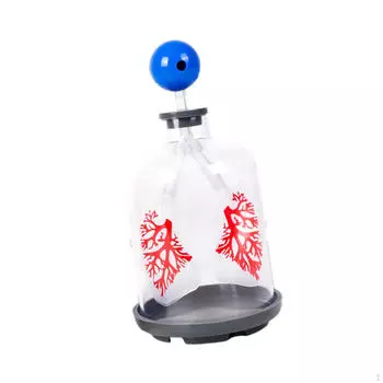 Дети обучают легкие демонстрационная модель помощь DIY эксперимент наука обучение образовательная игрушка