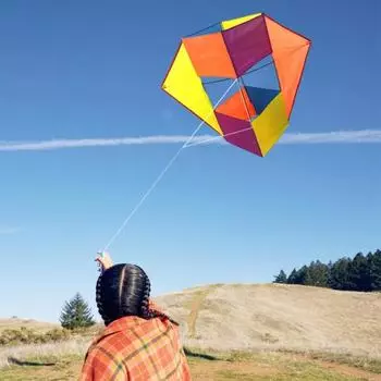 Дети Взрослые 3D Воздушный змей Легко управлять Тяжелый Открытый Пляж синий/белый