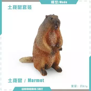 Детская цельная имитация мира лесных животных, модель сурка, мышь, бурундук, белка, цельное украшение, игрушка