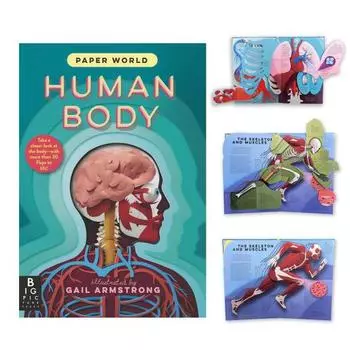 Детская книга по человеческому телу, обучающая игрушка по анатомии, интерактивный инструмент для домашнего обучения