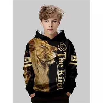 Детская одежда, толстовки для мальчиков, повседневные модные топы с длинным рукавом и 3D-принтом, весна-осень 5-6Y