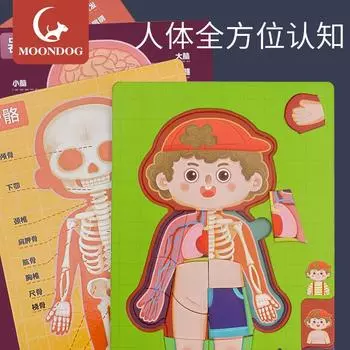 Детская познавательная модель человеческого тела, головоломка по структуре тела, изображение органа, научное учебное пособие, раннее образование, развивающие игрушки синий