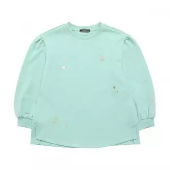 Детская толстовка Hazzys с рисунком на левом плече Hsw12tm56m Mt Mint/100