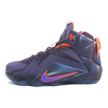 Детские кроссовки Nike LeBron 12 GS Instinct Purple Grape Crimson 685181-500