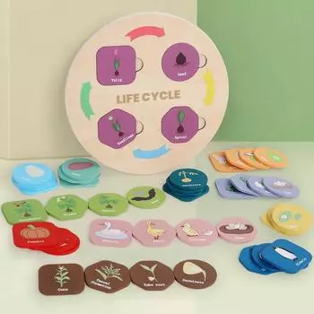 Детский цикл роста животных и растений, познавательный процесс, детская классификация цветов, сопоставление, развивающие игрушки разноцветный