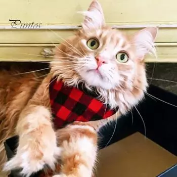 Детский комбинезон с рисунком в рождественском стиле, застежка на пуговицы, разрез, удобный для смены одежды, длинный рукав, детский комбинезон, треугольное полотенце для питомца 6 Months красный