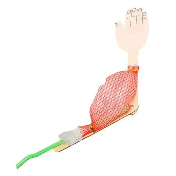 Детский научный эксперимент Muscle Hercules Steam Education Начальная школа Физическая химия Эксперимент Наука и технология Малое производство красный/зелёный