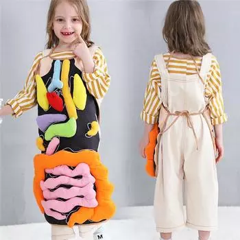 Детский сад Внутренности Обучающие принадлежности Дети Образовательный Интеллектуальный Развитие 3D Орган Фартук