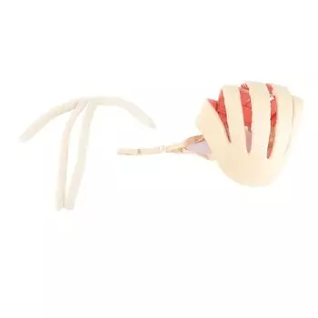 Детский защитный шлем, защита от падений, ползающий, прогулочный шлем для младенцев