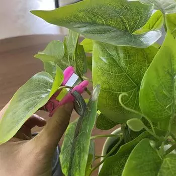 Device Cutting Plant Vegetable Picking Tool Grafting Tools Fruit Picker Garden Supplies 1pc