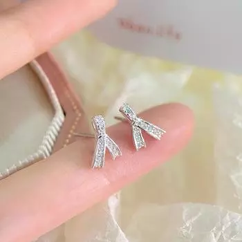 Diamond-inlaid Rope Earrings Light Luxury Niche Design Versatile Style High-end Earrings Small Gift