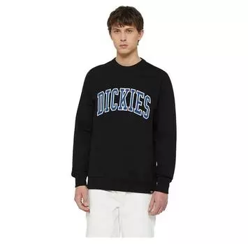 Dickies Aitkin свитшот M