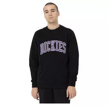 Dickies Aitkin свитшот S