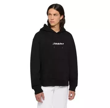 Dickies Enterprise худи M
