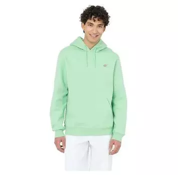 Dickies Oakport худи S