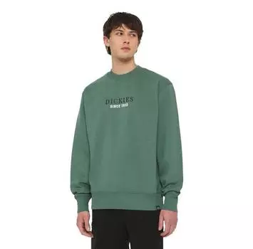 Dickies Park свитшот M