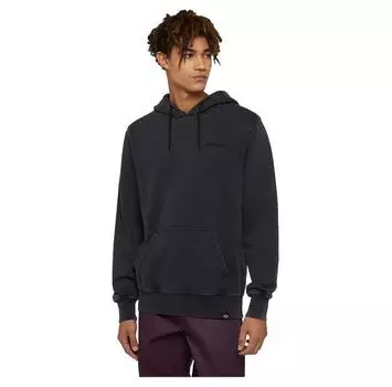 Dickies Plentywood худи 2XL