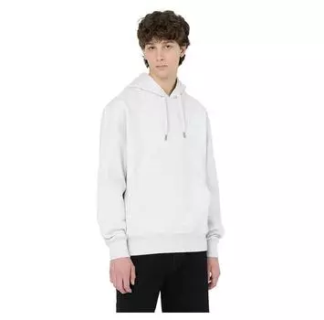 Dickies Summerdale худи XL