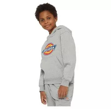 Dickies Youth Logo худи L