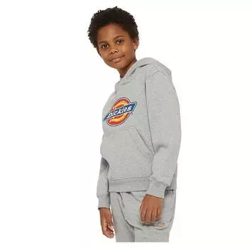 Dickies Youth Logo худи M