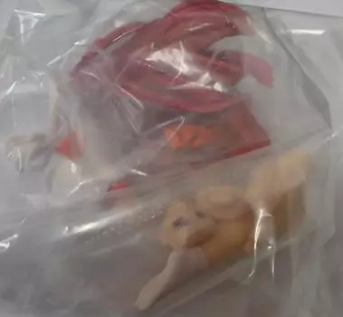 Digital Gals Paradise Figure Collection Lost Village Miyuki Yane Single Capsule Toy D.G.P