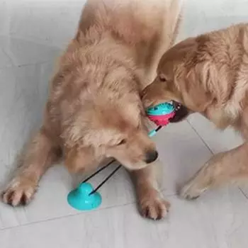 Dingdong Pet Pet Suction Tug Шарик для закусок, тип B, круглый, 8 x 43 см, мятный, 1 шт.