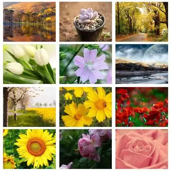 DINGPU Полный круглый дрель 5D DIY Алмазная картина Цветок Вышивка крестиком 5D Домашний Декор Подарок 20X30CM красный