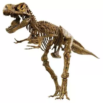 Dinosaur Craft Kit 51 Pieces Tyrannosaurus VT026 EDU-TOYS