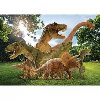 Dinosaur Puzzle DINOSAUR REX Section 4, Korean popular puzzles