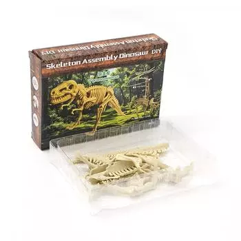 Dinosaur Skeleton DIY Toys Educational Puzzles Model Set For Kids Over 6 Years Old One Size
