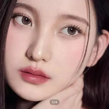 Дион Один день Кость Серая -1.00