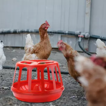 Диспенсер для воды для цыплят, павлинов, перепелов