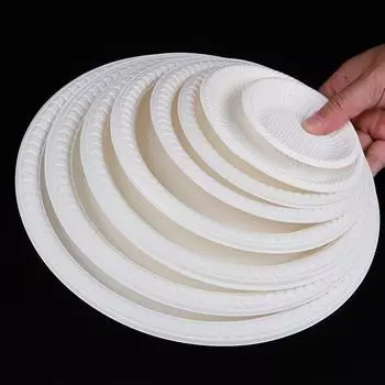 Disposable Plastic Circular Plates, Vegetable Plates, Barbecue Fruit Plates, Cake Plates One Size